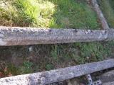 image of grave number 701700